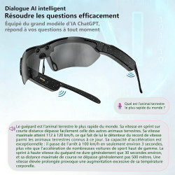 G6 Pro Lunettes AI, 8MP 1080P, Traduction, IP65, HiFi Sport Soleil (Noir)