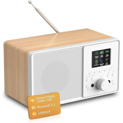 Radio internet wifi dab+ avec bleutooth 5.3 et écran couleur | 30 000 stations, podcasts, usb, aux, réveil et télécommande pour 