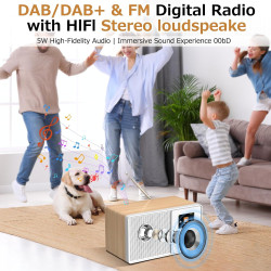 Radio internet wifi dab+ avec bleutooth 5.3 et écran couleur | 30 000 stations, podcasts, usb, aux, réveil et télécommande pour 