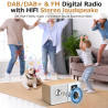 Radio internet wifi dab+ avec bleutooth 5.3 et écran couleur | 30 000 stations, podcasts, usb, aux, réveil et télécommande pour 