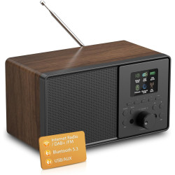 Radio internet wifi dab+ avec bleutooth 5.3 et écran couleur | 30 000 stations, podcasts, usb, aux, réveil et télécommande pour 