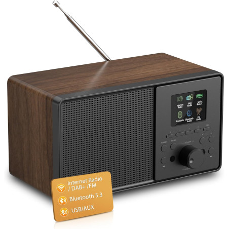 Radio internet wifi dab+ avec bleutooth 5.3 et écran couleur | 30 000 stations, podcasts, usb, aux, réveil et télécommande pour 