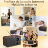 Radio internet wifi dab+ avec bleutooth 5.3 et écran couleur | 30 000 stations, podcasts, usb, aux, réveil et télécommande pour 