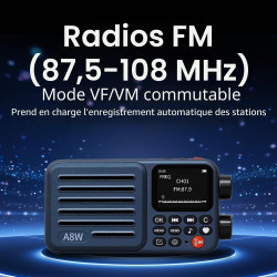Choyong A8W Récepteur radio Internet intelligent portable WiFi/4G avec FM, carte Micro-SD, toutes les radios du monde, pour la m
