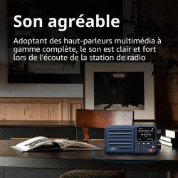 Choyong A8W Récepteur radio Internet intelligent portable WiFi/4G avec FM, carte Micro-SD, toutes les radios du monde, pour la m
