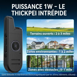 Talkie-walkie Radtel RT13 Super Mini, rechargeable, mains libres VOX, radio bidirectionnelle professionnelle PMR pour restaurant