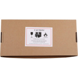 FG6CELL21700G Lot de 2 batteries de rechange pour JBL Boombox 4, PartyBox 520, PartyBox 720 Battery 600 21,6 V 108 Wh