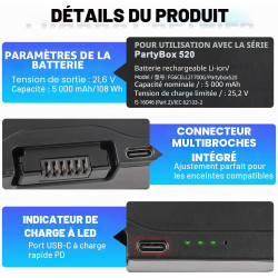 FG6CELL21700G Lot de 2 batteries de rechange pour JBL Boombox 4, PartyBox 520, PartyBox 720 Battery 600 21,6 V 108 Wh