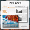 308 XL Cartouches d'impression, 308XL Cartouches Noire et Couleur Compatibles avec Originales HP 308 Cartouches d’Encre pour HP 