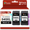 PG-545XL PG-545 XL Cartouches de rechange pour Canon 545 Cartouches d'encre pour Canon PG 545 Noir pour Canon Pixma MX495 TR4550