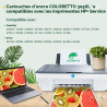 COLORETTO 305XL Cartouche pour HP 305 pour HP DeskJet 2820e 2800e 4200e 4220e 4230e 2810e 4222e 2821e 2822e 2823e 4210e 2720e 27