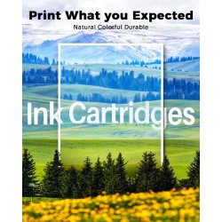 Skydo Compatible avec 604 XL Cartouches d'encre Compatible pour Expression Home XP-2200 XP-2205 XP-3200 XP-4200 XP-3205 XP-4205 