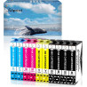 Compatible pour 604XL Cartouches d'encre, 10-Pack | Compatible pour Epson XP-2200 XP-2205 XP-3200 XP-3205 XP-4200 XP-4205 Workfo