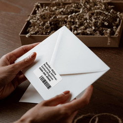 Phomemo M110/M220 étiquettes, papier d'étiquettes thermoétiquettes transparent 40 x 30 mm (1.57" x 1.18") pour imprimante d'étiq