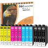 D&C 12 x Cartouches d'encre 29XL compatibles avec Epson 29 XL pour Epson Expression Home XP-442 XP-342 XP-352 XP-452 XP-335 XP-3