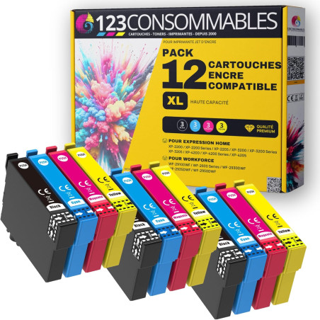 123CONSOMMABLES - Pack 12 Cartouches Encre pour 604 XL Compatible avec Epson XP-2200 XP-3200 XP-4200, Workforce WF-2910 WF-2930 