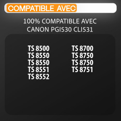 Supply Guy 530 531 XXL Cartouches pour PIXMA TS8750 TS8751 remplace Canon PGI-530 CLI-531 (12 Cartouches)