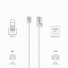 deleyCON 30m Câble Téléphone RJ11 vers RJ45 Modulaire 99% Cuivre AWG 28 plat RJ11 Fiche vers RJ45 Connecteur Réseau Prise Téléph
