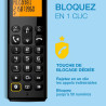 ALCATEL E260 - Téléphone Fixe sans Fil DECT - Design Compact - Grand Écran Rétroéclairé - Mains Libres - Fonction Blocage des Ap