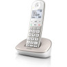 Philips XL490 Téléphone Fixe sans Fil - Téléphone Fixe Compatible avec Les Appareils Auditifs - DECT avec Grand Écran Rétroéclai
