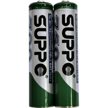 Lot de 2 piles AAA NiMH 750 mAh Gigaset pièce de rechange d'origine certifiée