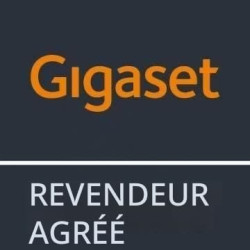 Lot de 2 piles AAA NiMH 750 mAh Gigaset pièce de rechange d'origine certifiée
