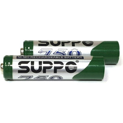 Gigaset GP Lot de 2 piles rechargeables 750 mAh
