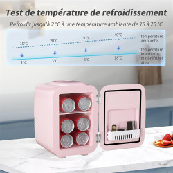 YASHE Mini Frigo de Chambre 4L/6 Canettes, Mini Réfrigérateur Voiture 220V CA/12V CC, Petit Frigo Thermoélectrique Chaud/Froid p