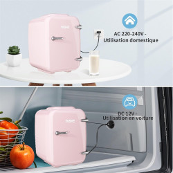 YASHE Mini Frigo de Chambre 4L/6 Canettes, Mini Réfrigérateur Voiture 220V CA/12V CC, Petit Frigo Thermoélectrique Chaud/Froid p
