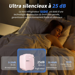 YASHE Mini Frigo de Chambre 4L/6 Canettes, Mini Réfrigérateur Voiture 220V CA/12V CC, Petit Frigo Thermoélectrique Chaud/Froid p
