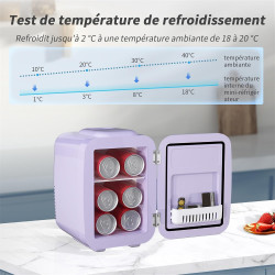 YASHE Mini Frigo de Chambre 4L/6 Canettes, Mini Réfrigérateur Voiture 220V CA/12V CC, Petit Frigo Thermoélectrique Chaud/Froid p