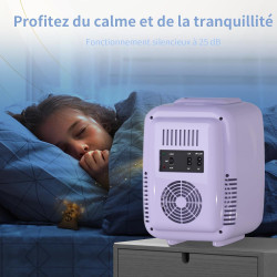 YASHE Mini Frigo de Chambre 4L/6 Canettes, Mini Réfrigérateur Voiture 220V CA/12V CC, Petit Frigo Thermoélectrique Chaud/Froid p