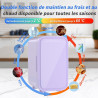 YASHE Mini réfrigérateur, 6 litres/8 canettes 220-240 V AC/DC, réfrigérateur thermoélectrique portable pour chambre à coucher, s