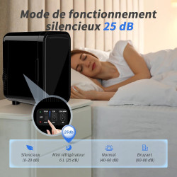 YASHE Mini réfrigérateur, 6 litres/8 canettes 220-240 V AC/DC Réfrigérateurs thermoélectriques portables pour chambre à coucher,