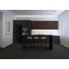 GEDTECH Réfrigerateur multi-portes GMP470BL 470L (301L + 169L) - No Frost - Noir