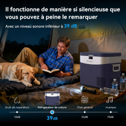 BINGI Glaciere a Compression 22L 12V/24V/230V Glacière Electrique Voiture -18°C - +20°C