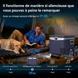 BINGI Glacière Electrique Voiture 18L Réfrigérateur de Voiture à Compression -18°C - +20°C