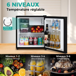 SMETA Petit Frigo 46L, Mini Réfrigérateur, Mini Frigo de Chambre, avec Thermostat Réglable et Porte Réversible, pour Chambre, Bu