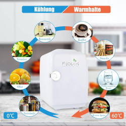 Mini Frigo portable 4 l avec fonction de refroidissement et de maintien au chaud, AC 220 V dans la maison/la prise DC 12 V dans 