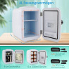 Mini Frigo portable 4 l avec fonction de refroidissement et de maintien au chaud, AC 220 V dans la maison/la prise DC 12 V dans 