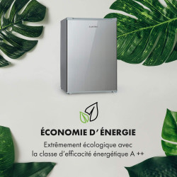 KLARSTEIN Delaware Réfrigérateur, Capacité 76 Litres, 2 Clayettes en Verre Flexibles, Compartiment Congélateur 4 Litres, Range-B