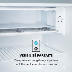 KLARSTEIN Delaware Réfrigérateur, Capacité 76 Litres, 2 Clayettes en Verre Flexibles, Compartiment Congélateur 4 Litres, Range-B