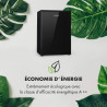 Klarstein Delaware Réfrigérateur, Capacité 76 Litres, 2 Clayettes en Verre Flexibles, Compartiment Congélateur 4 Litres, Range-B