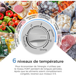 YASHE Congélateur coffre 100L, pose libre, Gris | 2 paniers amovibles, 6 niveaux de température, faible consommation d'énergie e