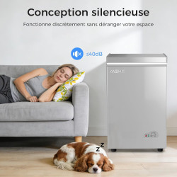 YASHE Congélateur coffre 100L, pose libre, Gris | 2 paniers amovibles, 6 niveaux de température, faible consommation d'énergie e