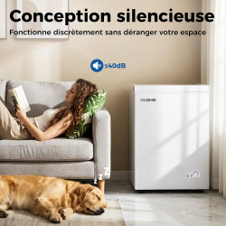 YASHE Congélateur coffre 100L, pose libre, Blanc | 2 paniers amovibles, 6 niveaux de température, faible consommation d'énergie 