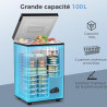 YASHE Congélateur coffre 100L, pose libre, Noir | 2 paniers amovibles, 6 niveaux de température, faible consommation d'énergie e