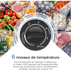 YASHE Congélateur coffre 100L, pose libre, Noir | 2 paniers amovibles, 6 niveaux de température, faible consommation d'énergie e