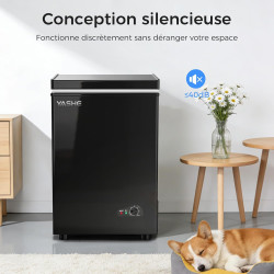 YASHE Congélateur coffre 100L, pose libre, Noir | 2 paniers amovibles, 6 niveaux de température, faible consommation d'énergie e