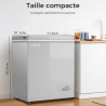 YASHE Congélateur coffre 150L, pose libre, Gris | 2 paniers amovibles, 6 niveaux de température, faible consommation d'énergie e